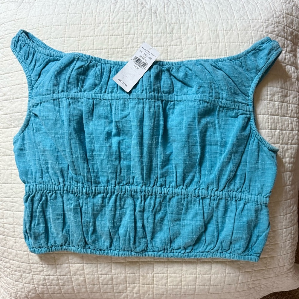 American Eagle Outfitters Blue Smocked Crop Tank Top